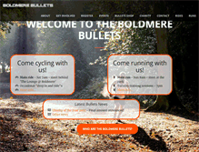 Tablet Screenshot of boldmerebullets.com